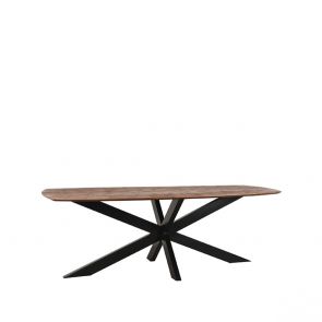 Table a Manger Zane 220x100x76 cm
